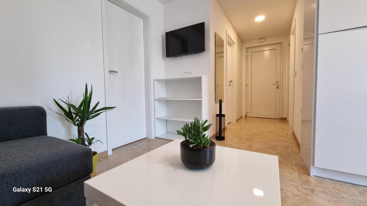 Apartment Rivarela Blu - Newly Renovated And Top Location Near Sea Novigrad Istria 외부 사진
