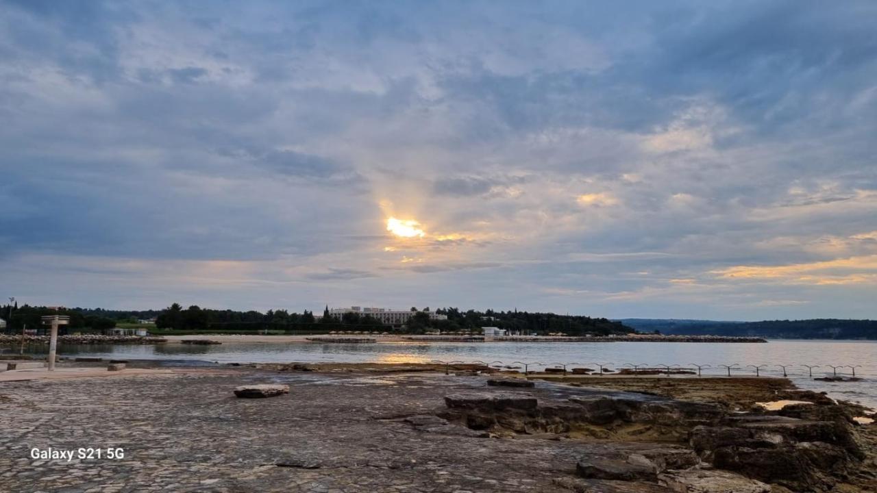 Apartment Rivarela Blu - Newly Renovated And Top Location Near Sea Novigrad Istria 외부 사진