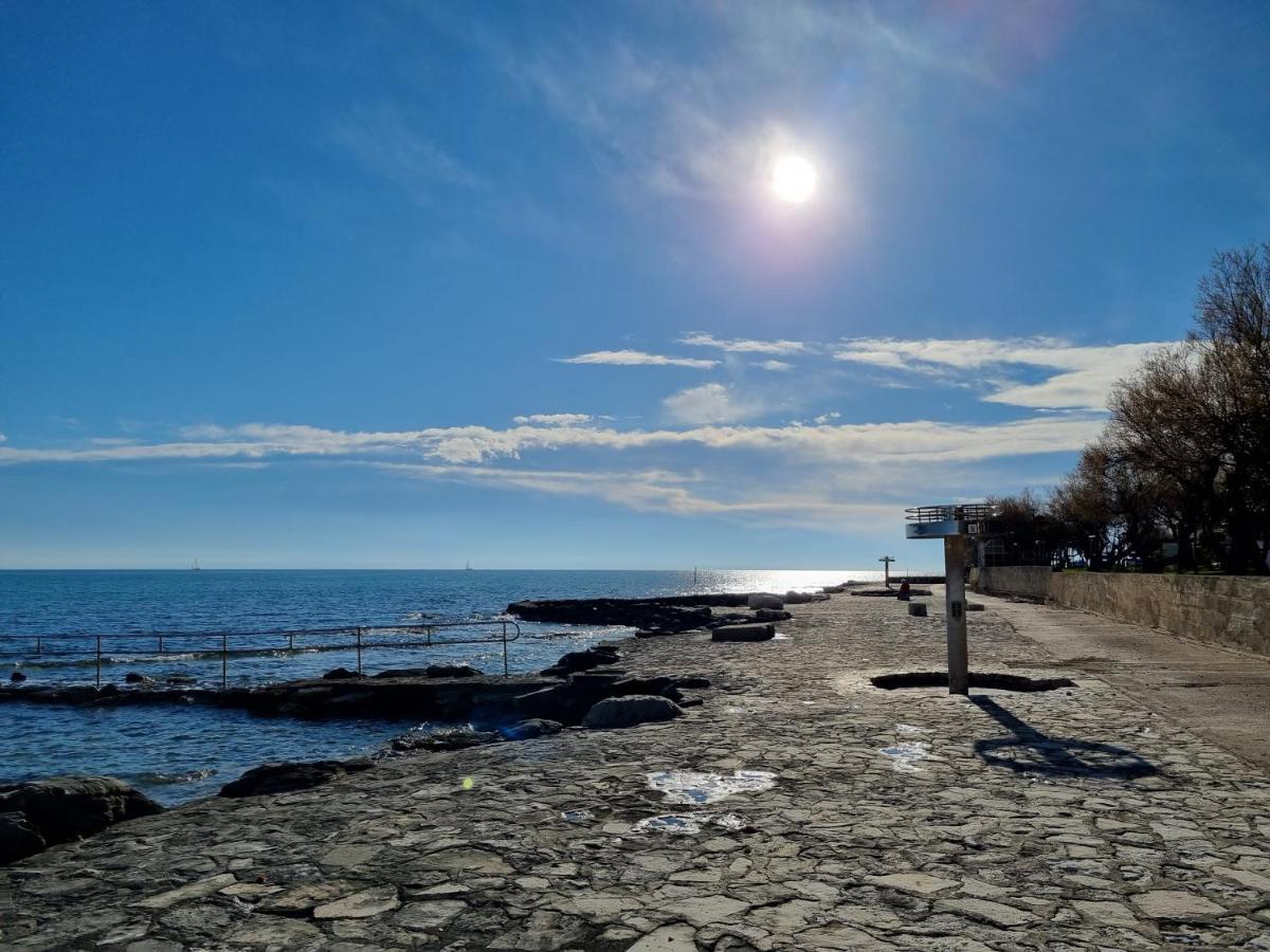 Apartment Rivarela Blu - Newly Renovated And Top Location Near Sea Novigrad Istria 외부 사진